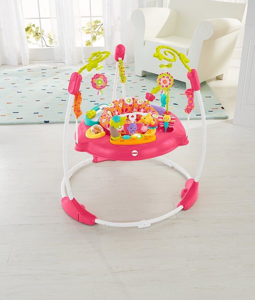 Fisher-Price Pink Petals Jumperoo - DJC81