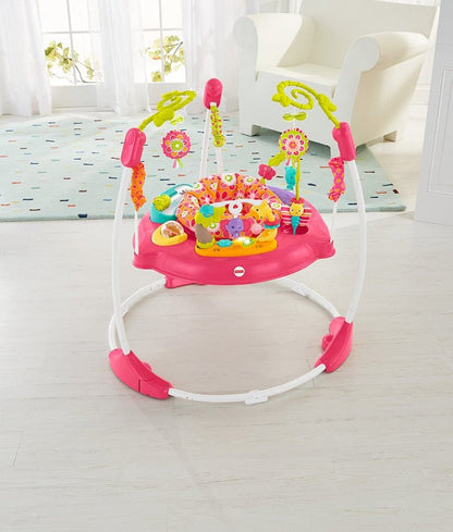 Fisher-Price Pink Petals Jumperoo - DJC81