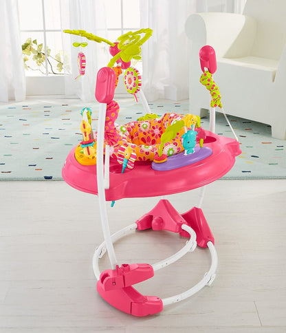 Fisher-Price Pink Petals Jumperoo - DJC81