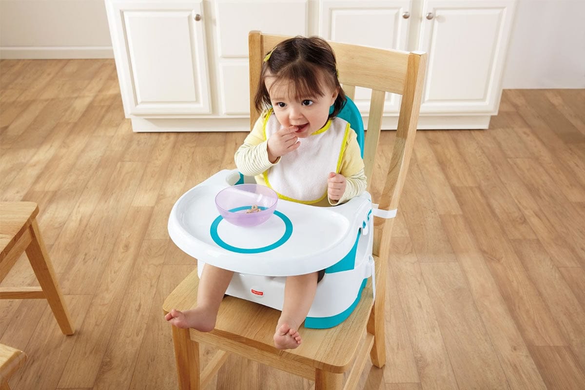 Fisher-Price Quick-Clean Portable Booster ChairDeluxe - BBX06
