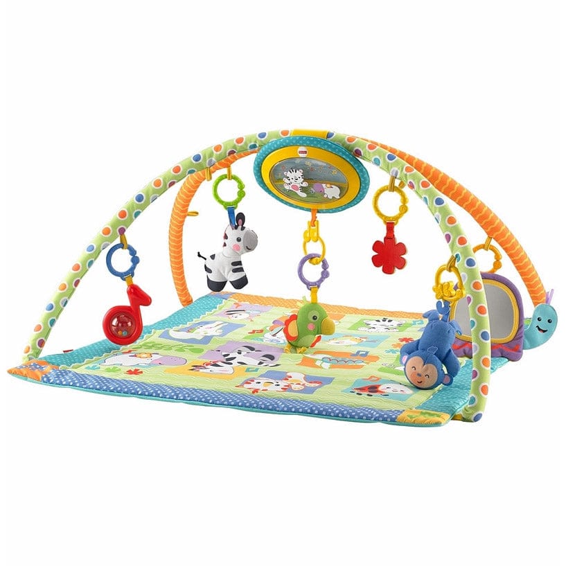 Fisher-Price Sing-Along Musical Friends Gym - BGT89
