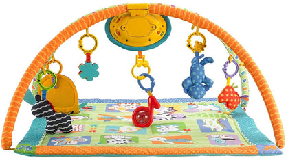 Fisher-Price Sing-Along Musical Friends Gym - BGT89