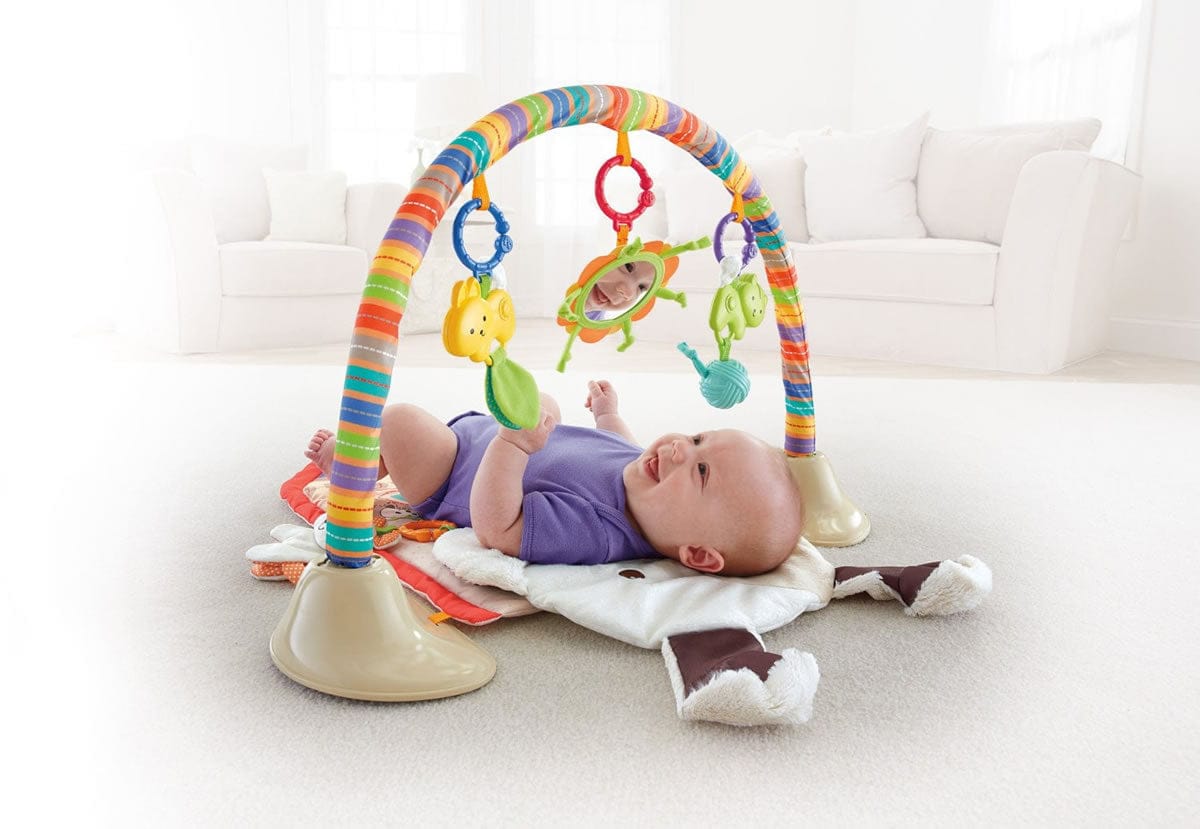 Fisher-Price SnugaPuppy Snuggle 'n Play Gym - BMH53