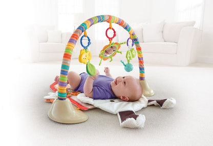 Fisher-Price SnugaPuppy Snuggle 'n Play Gym - BMH53