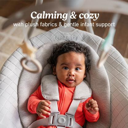 Graco DuetConnect LX Baby Swing and Bouncer - Wales - 2231820