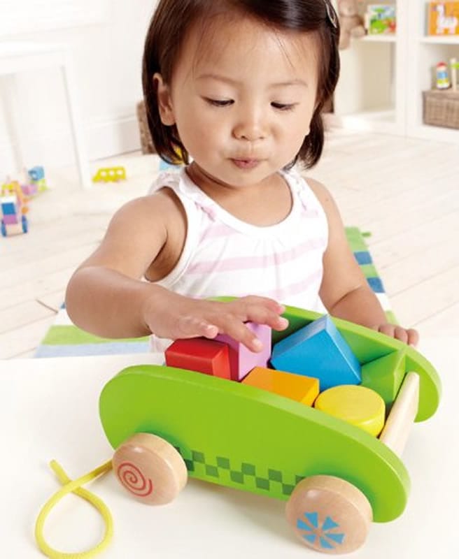 Hape Mini Block & Roll - E0408