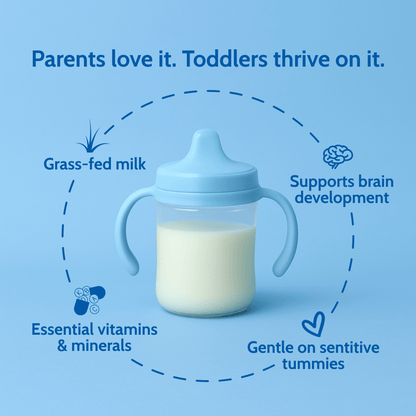 Holle Cow Milk Toddler Drink 6-Tin Bundle - DAIRY-COW-6TINS-BUNDLE