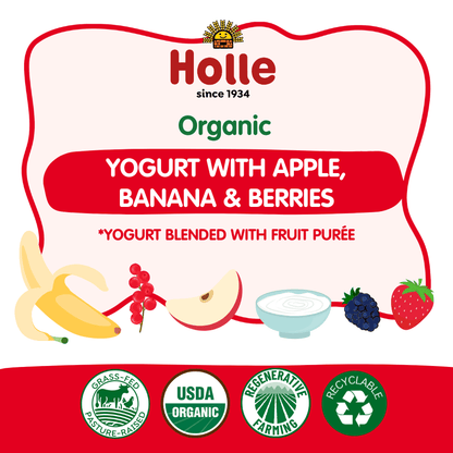 Organic Apple, Banana & Berries Yogurt Pouches - APPLEBAN-BERRIES-YOGURT