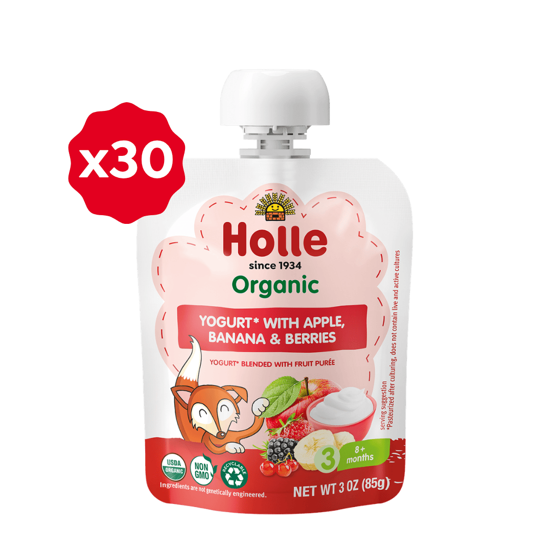 Holle Organic Apple, Banana & Berries Yogurt Pouches - APPLEBAN-BERRIES-YOGURT-3