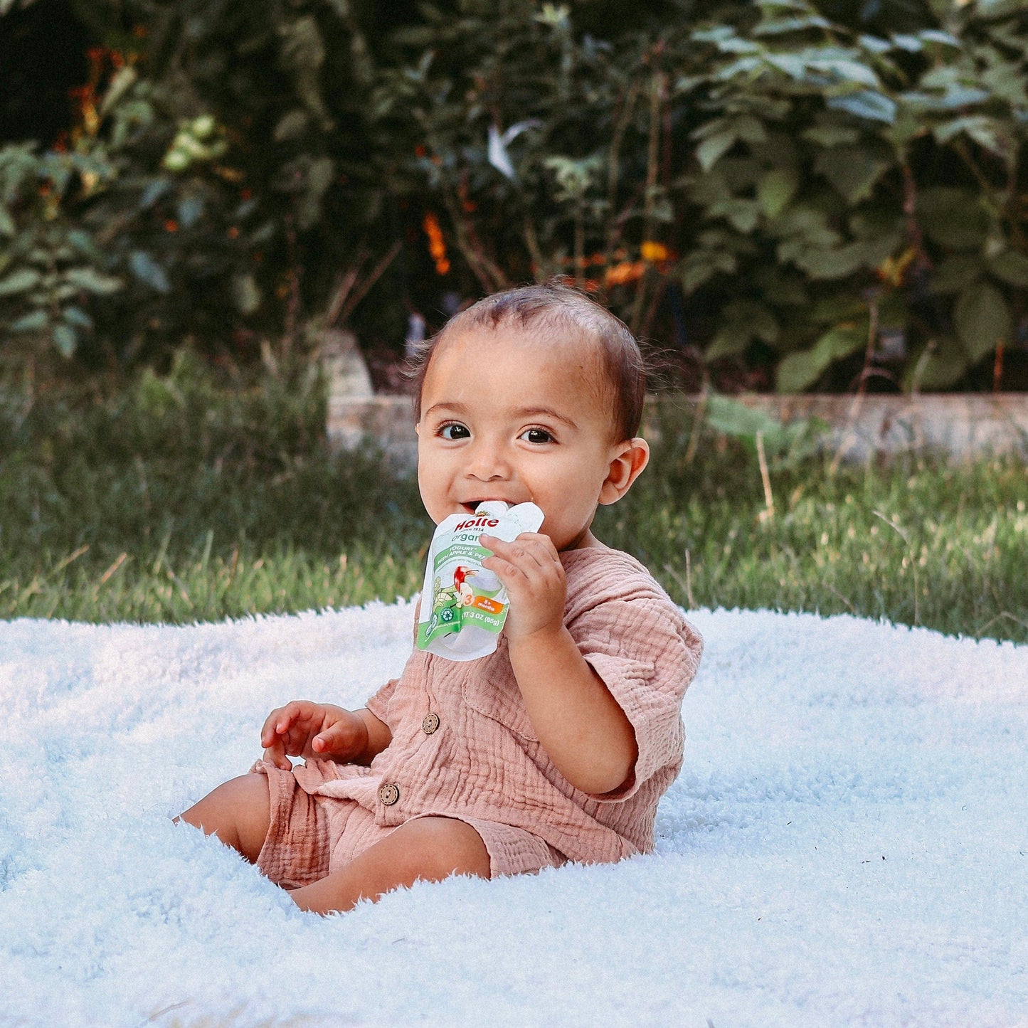 Organic Apple & Pear Yogurt Pouches - APPLE-PEAR-YOGURT