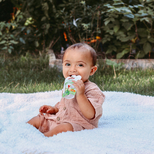Organic Apple & Pear Yogurt Pouches - APPLE-PEAR-YOGURT