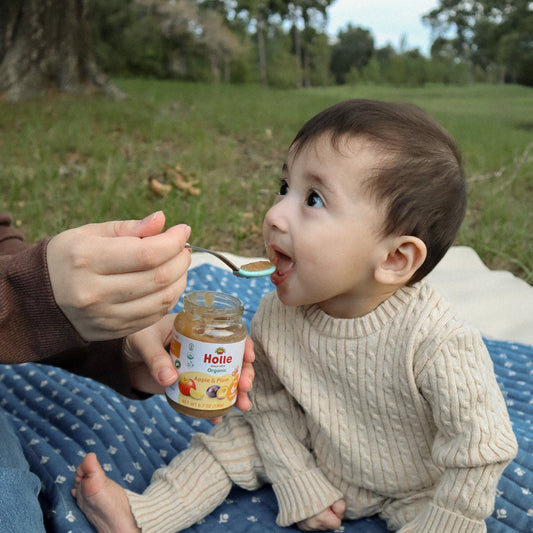Holle Organic Baby Food Jar - Apple & Plum - 12 Jars - APPLE-PLUM-JAR-2PACK