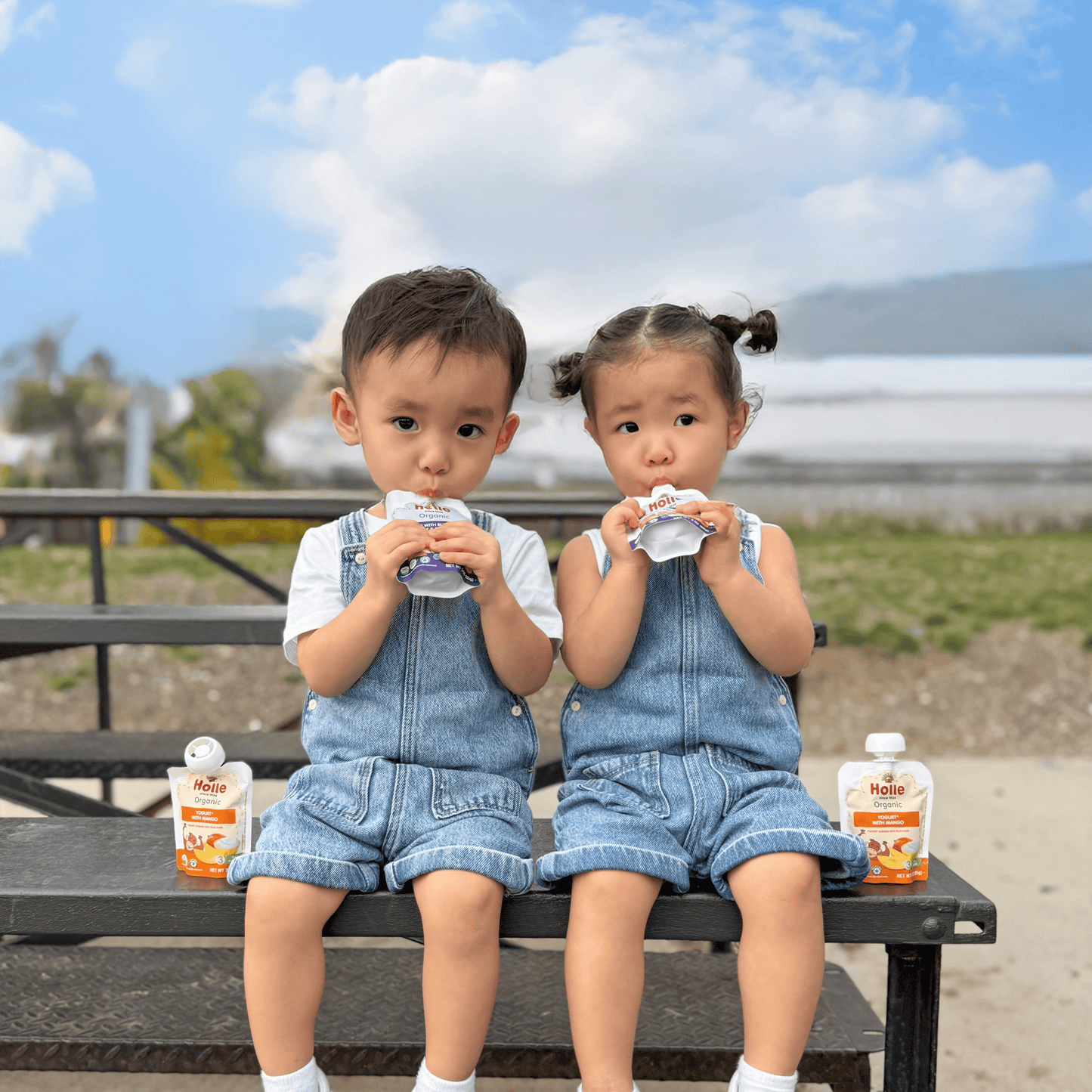Organic Mango Yogurt Pouches - MANGO-YOGURT