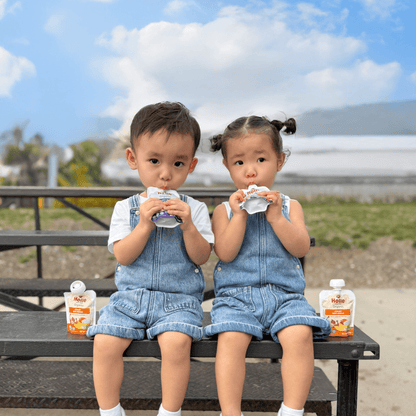 Organic Mango Yogurt Pouches - MANGO-YOGURT