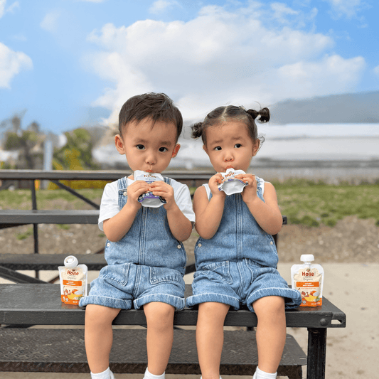 Organic Mango Yogurt Pouches - MANGO-YOGURT
