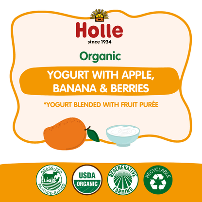 Organic Mango Yogurt Pouches - MANGO-YOGURT