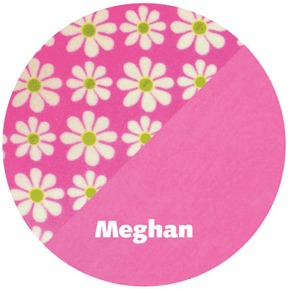 Britax Boulevard Convertible Car Seat 2009 Meghan