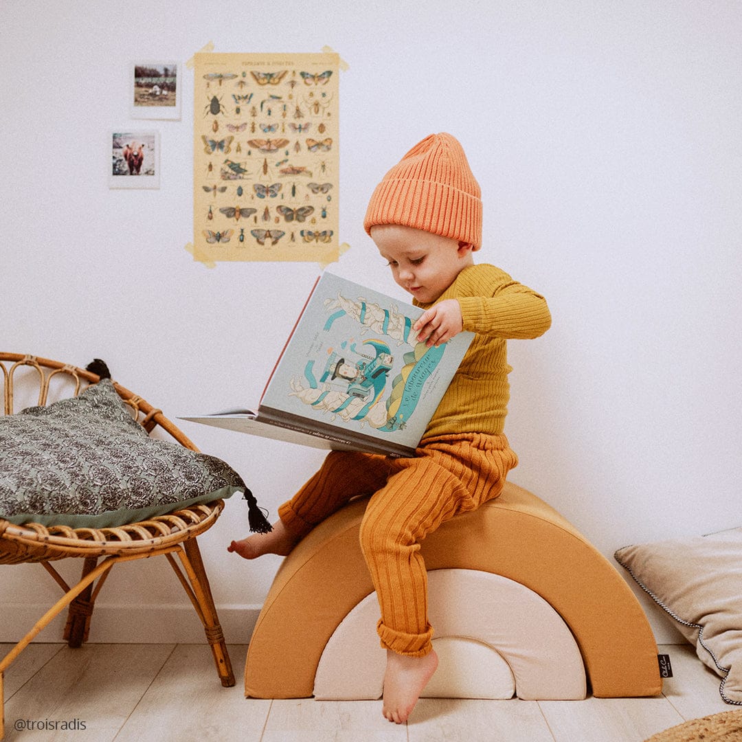 Charlie Crane MILO Rainbow Playset - Camel - MILO-CAMEL