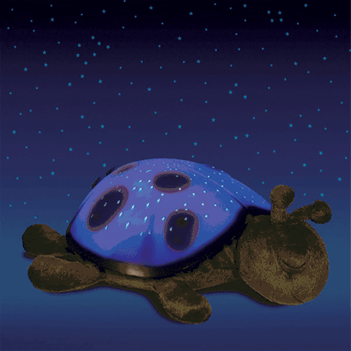 Cloud b Twilight Ladybug