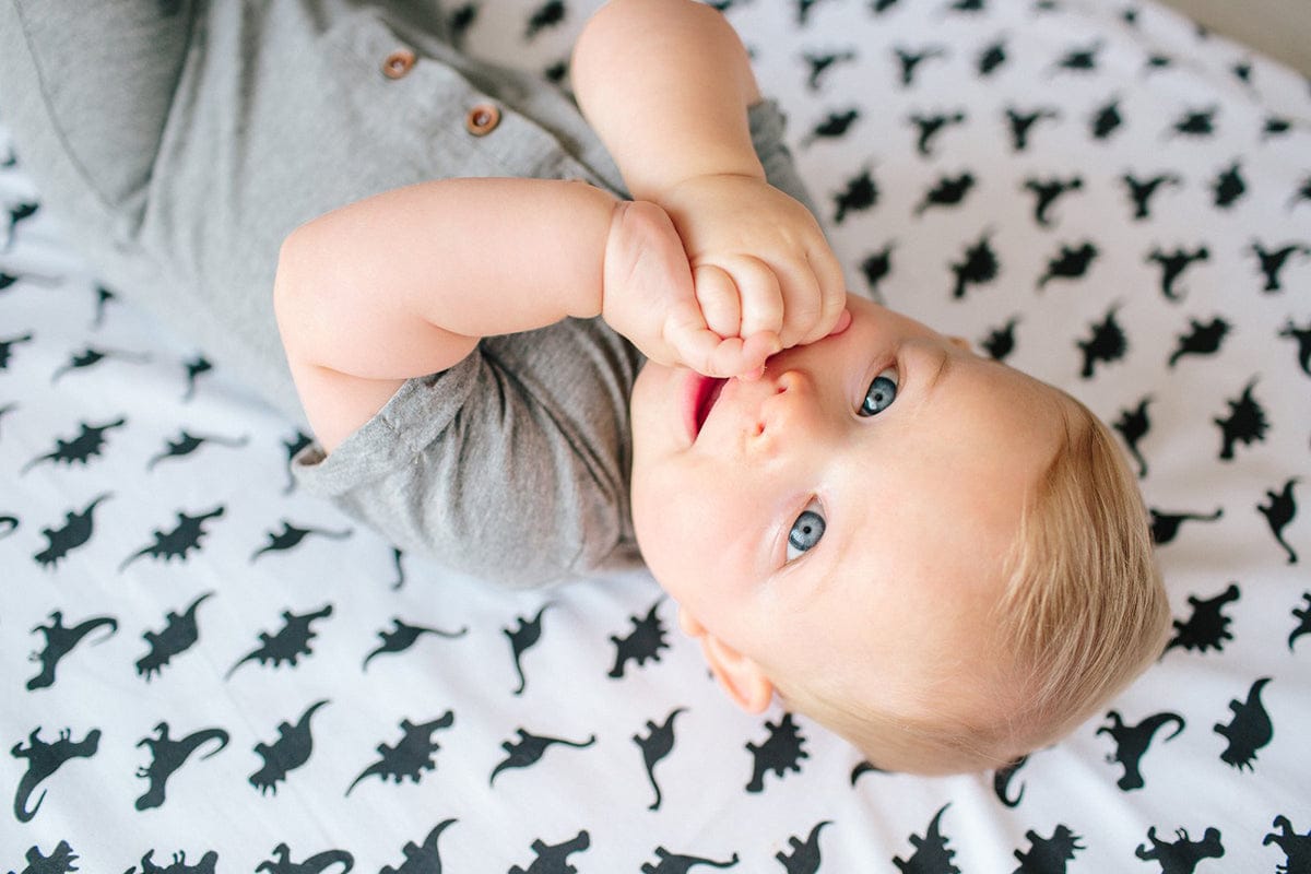 Copper Pearl Cotton Fitted Crib Sheet - Wild - X001JFXQRZ