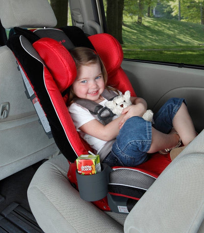 Diono Radian RXT Convertible + Booster Car Seat - Spring