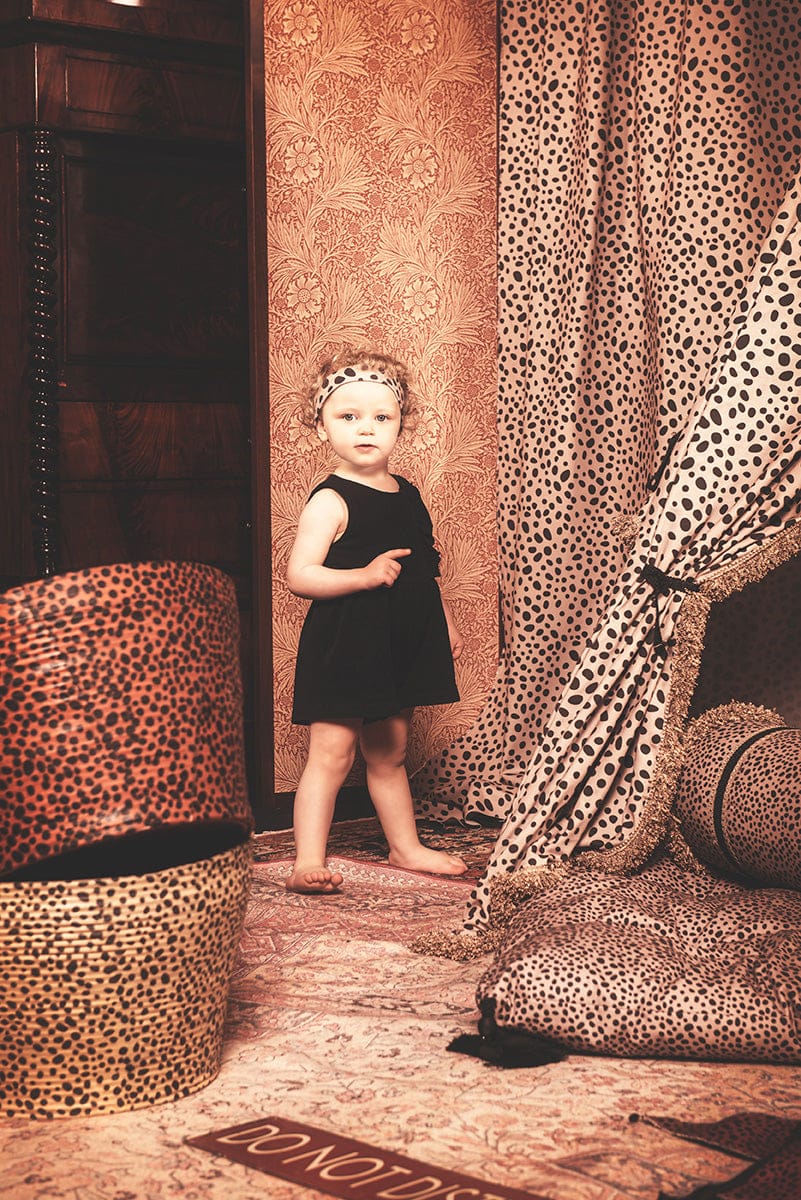 DockATot Dream Weaver Moses Basket - Painted Spots - 72055