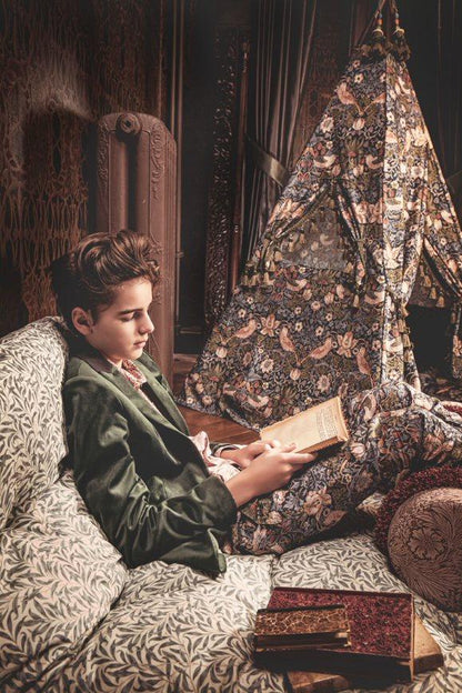 DockATot Tent of Dreams - Strawberry Thief - 61662