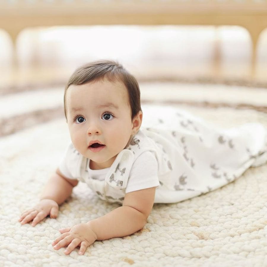 Ergobaby Sleeping Bag, 0-6 Months - Elephant - SLBAELEPH