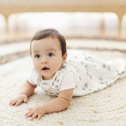 Ergobaby Sleeping Bag, 0-6 Months - Elephant - SLBAELEPH