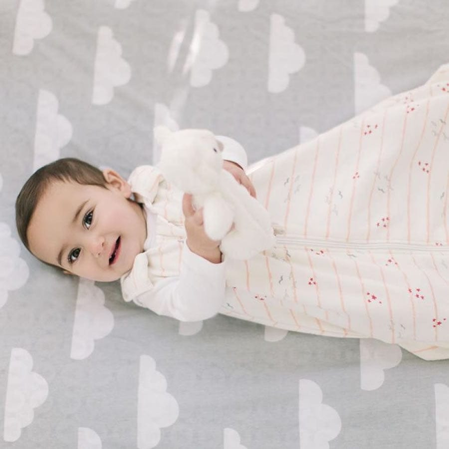 Ergobaby Sleeping Bag, 0-6 Months - Fly Me Away - SLBAFLY