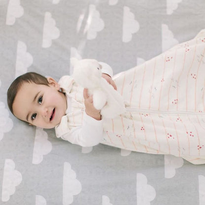 Ergobaby Sleeping Bag, 0-6 Months - Fly Me Away - SLBAFLY