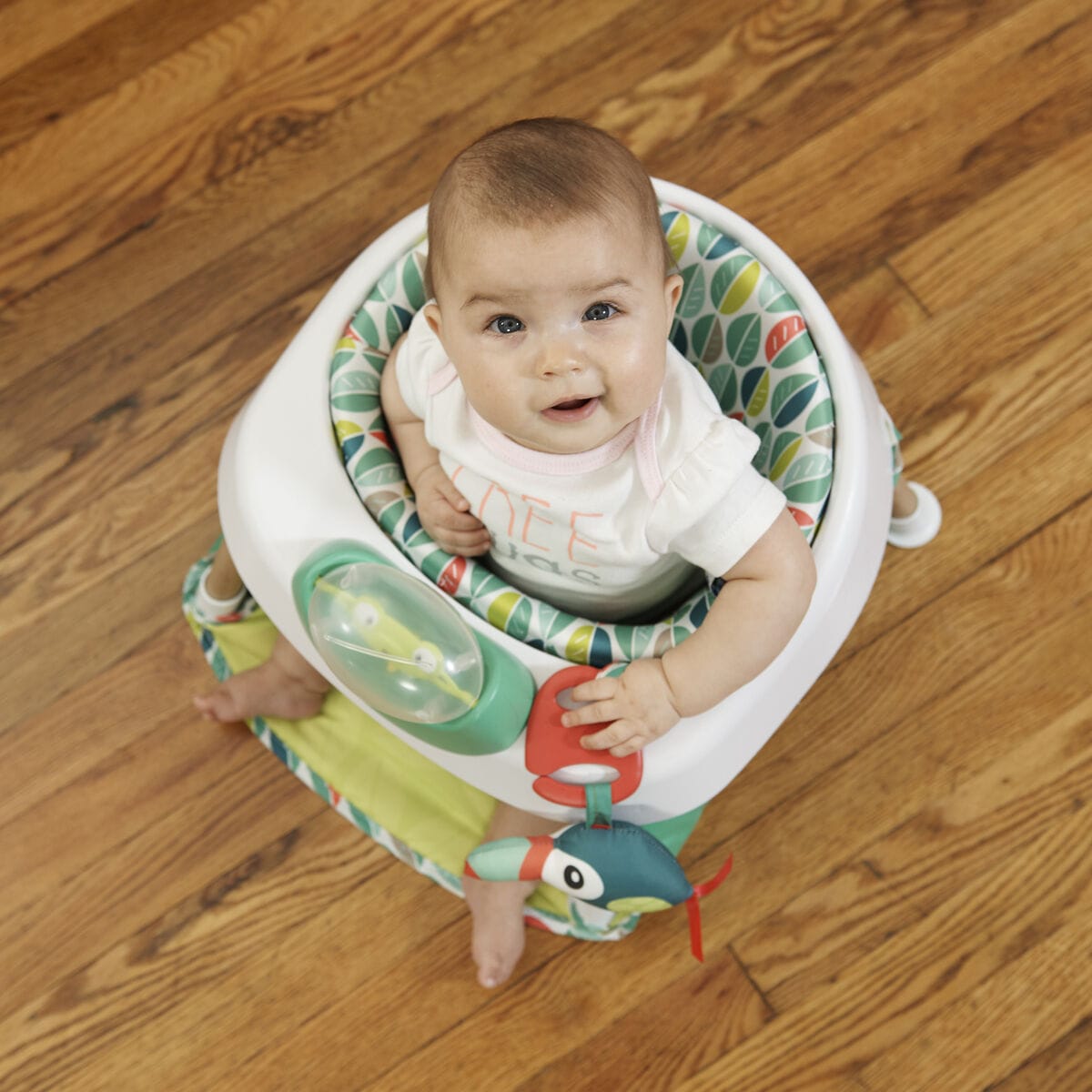 Evenflo ExerSaucer Tiny Tropics 2-IN-1 Baby Seat + Door Jumper - 60522223