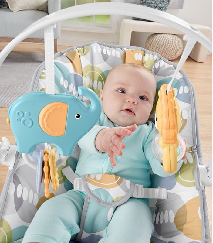 Fisher-Price Comfort Curve Bouncer - Multi/Neutral