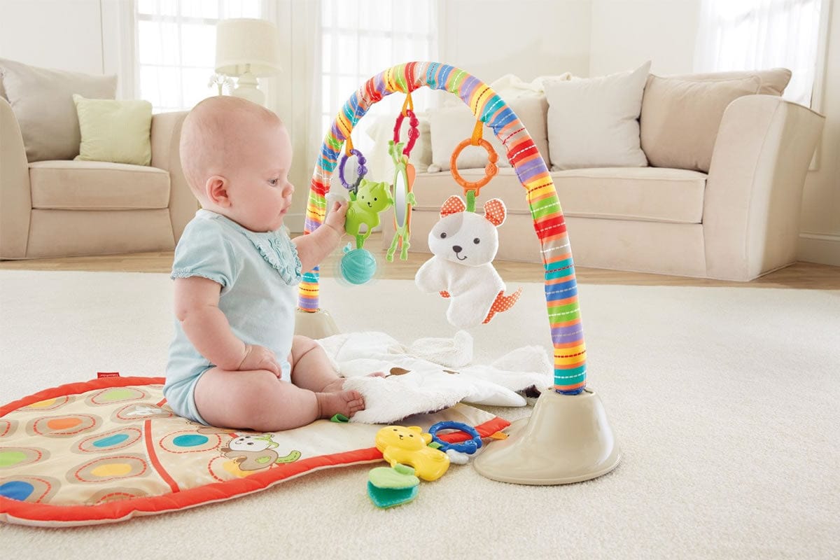 Fisher-Price SnugaPuppy Snuggle 'n Play Gym - BMH53