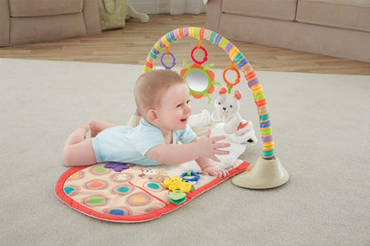 Fisher-Price SnugaPuppy Snuggle 'n Play Gym - BMH53