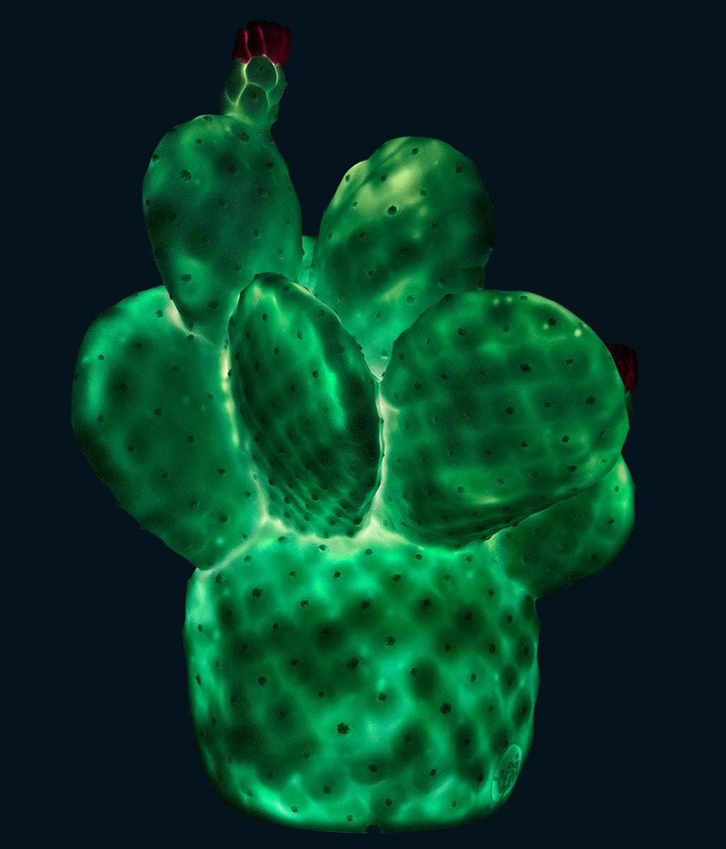 Goodnight Light Cactus Lamp - Mint