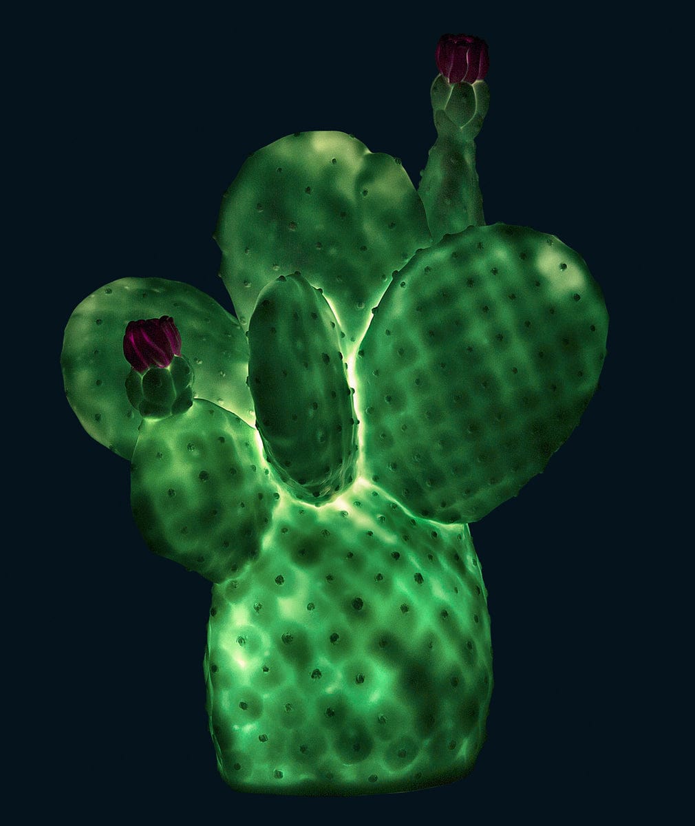 Goodnight Light Cactus Lamp - Mint