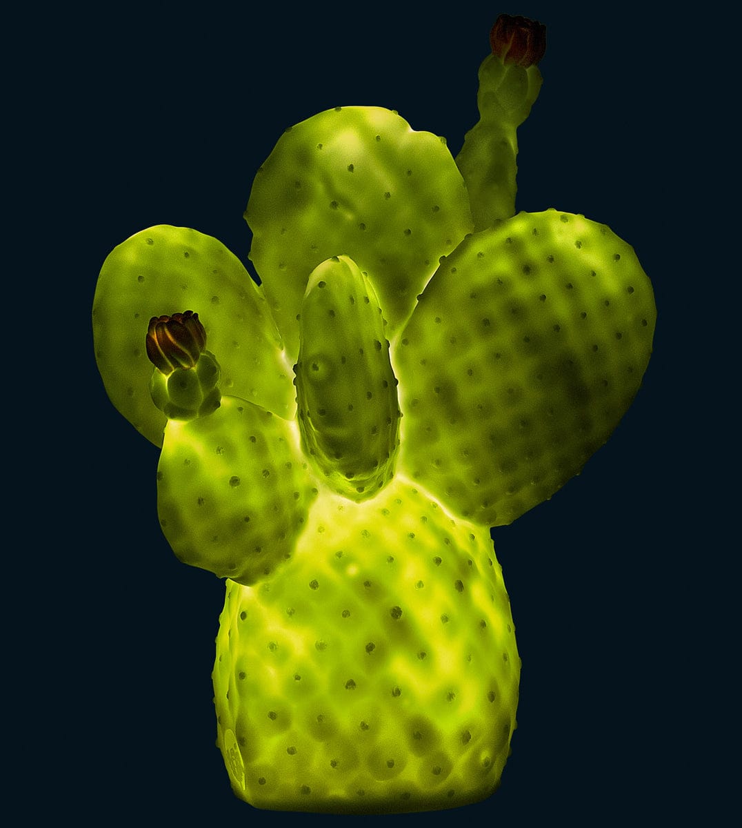 Goodnight Light Cactus Lamp - Pale Green - 127-GREEN