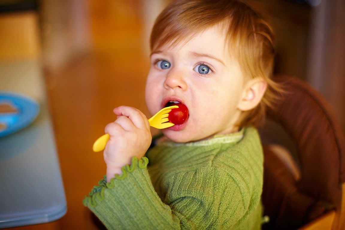 Green Toys Dish Set - DSH01R