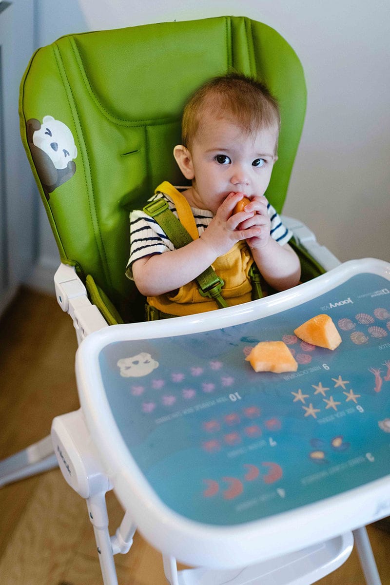 Joovy Nook High Chair - Greenamole (Sea Otter National Park Foundation Edition) - 4003-J