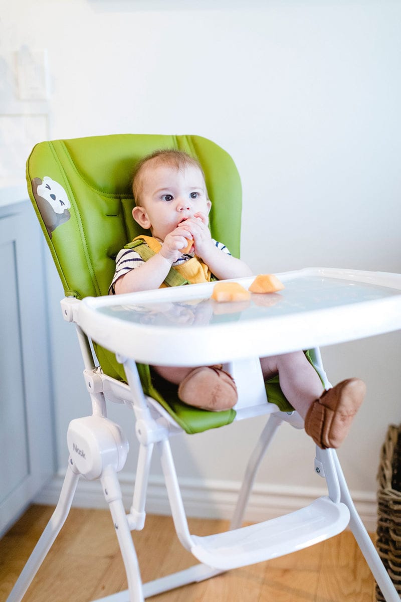 Joovy Nook High Chair - Greenamole (Sea Otter National Park Foundation Edition) - 4003-J