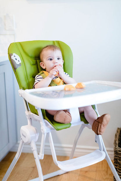 Joovy Nook High Chair - Greenamole (Sea Otter National Park Foundation Edition) - 4003-J