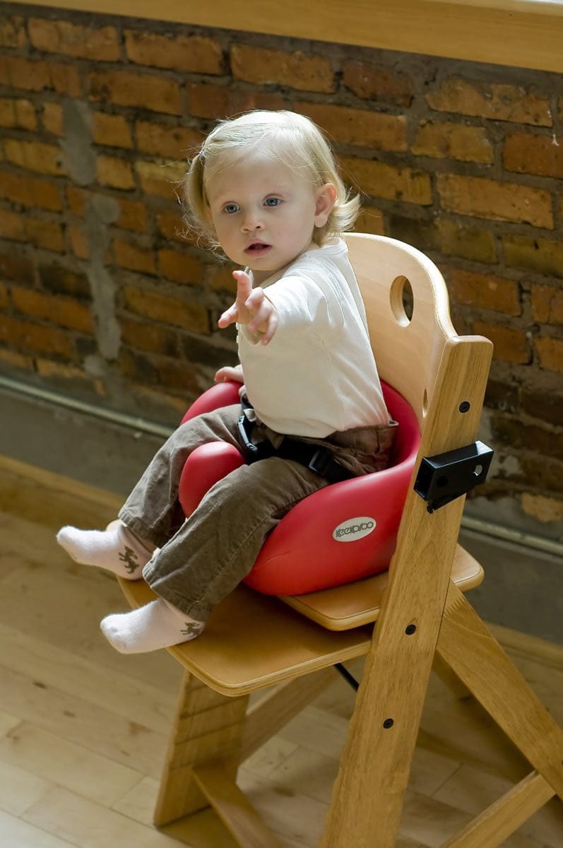 Keekaroo Infant Insert - Cherry - 0052501KR-0001