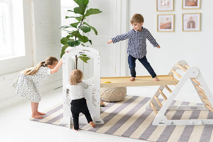 Little Partners 2-in-1 Climbing Ramp / Slide - LPR07901