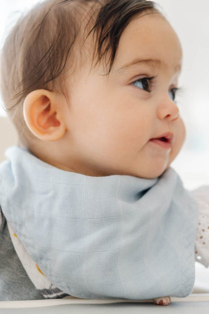 Little Unicorn Deluxe Muslin Reversible Bandana Bib - Air Show - UF0604