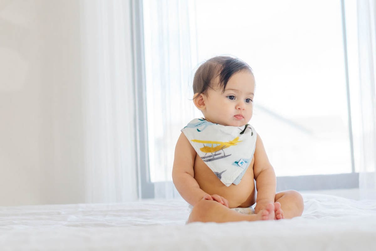 Little Unicorn Deluxe Muslin Reversible Bandana Bib - Air Show - UF0604