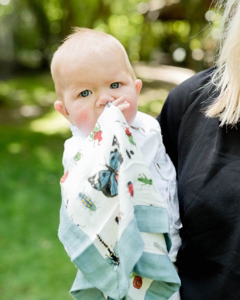 Little Unicorn Deluxe Muslin Security Blanket, 2 Pack - Bugs + Spruce