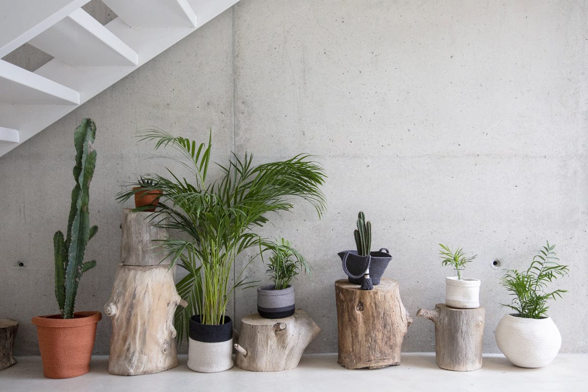 Lorena Canals Basket Dual - Black/Natural (8" x 8") - BSK-BLACK-NAT