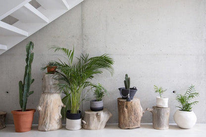 Lorena Canals Basket Dual - Black/Natural (8" x 8") - BSK-BLACK-NAT