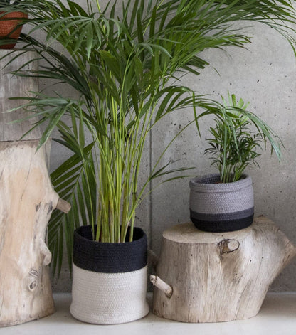 Lorena Canals Basket Dual - Black/Natural (8" x 8") - BSK-BLACK-NAT